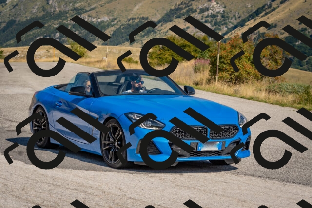 202509061026-DSC_8370_c4_