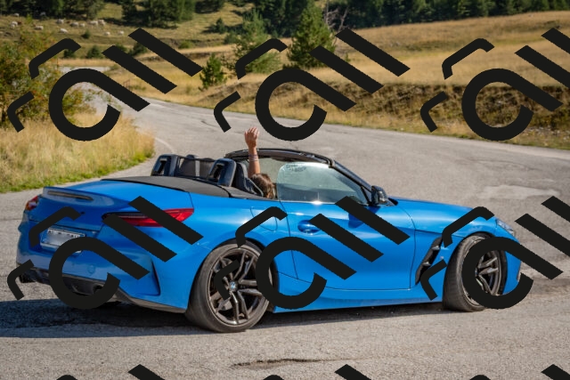 202509061026-DSC_8371_c4_