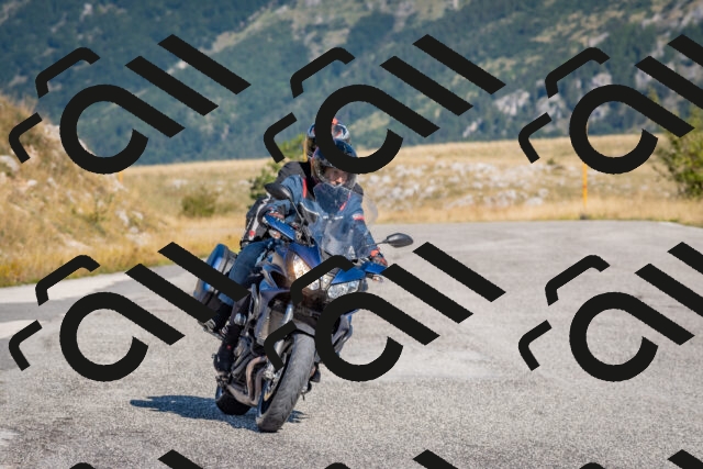 202509061026-DSC_8372_c4_