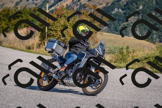 202509061027-DSC_8377_c4_