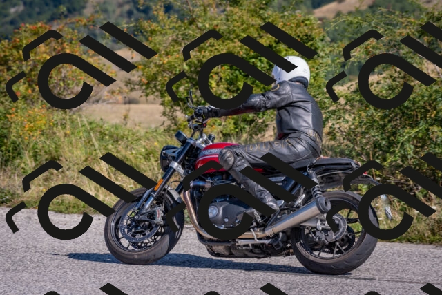 202509061037-DSC_8401_c4_