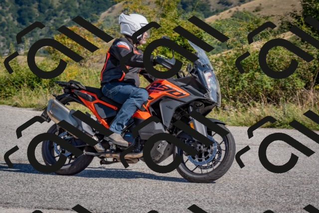 202509061039-DSC_8406_c4_