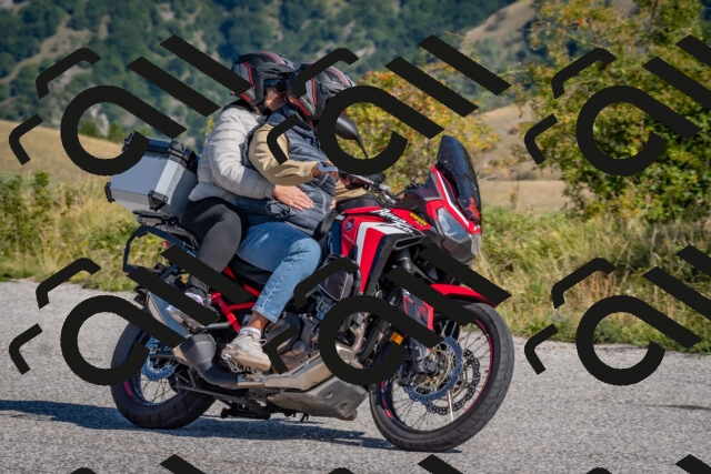 202509061040-DSC_8408_c4_