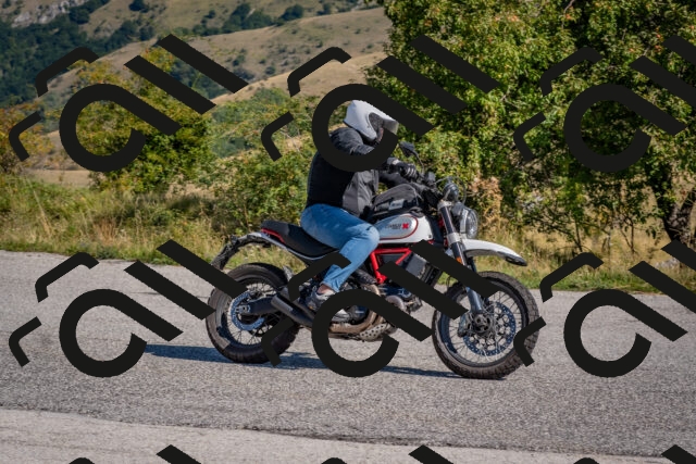 202509061041-DSC_8416_c4_