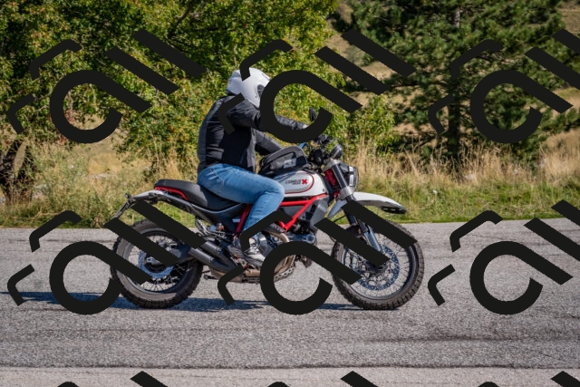 202509061041-DSC_8418_c4_