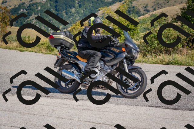 202509061042-DSC_8426_c4_