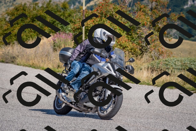 202509061049-DSC_8441_c4_