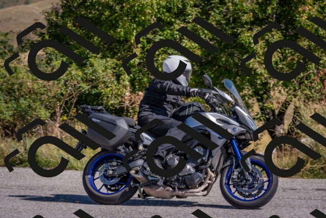 202509061057-DSC_8463_c4_