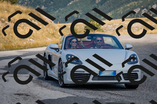 202509061100-DSC_8471_c4_