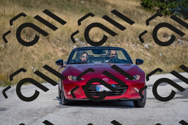 202509061108-DSC_8518_c4_