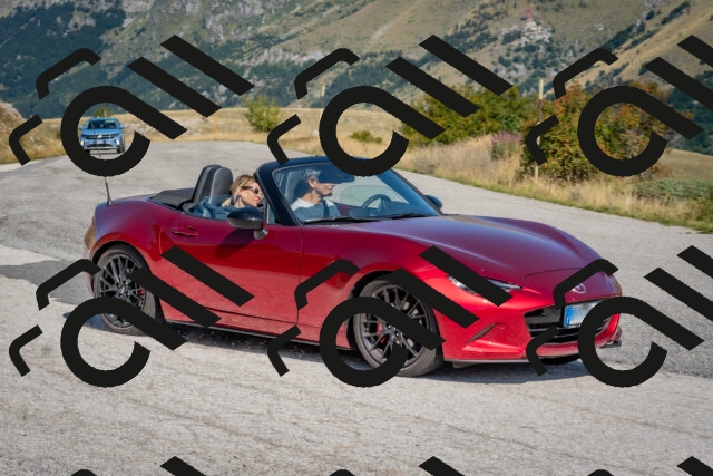 202509061108-DSC_8519_c4_