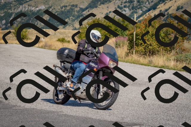 202509061111-DSC_8538_c4_