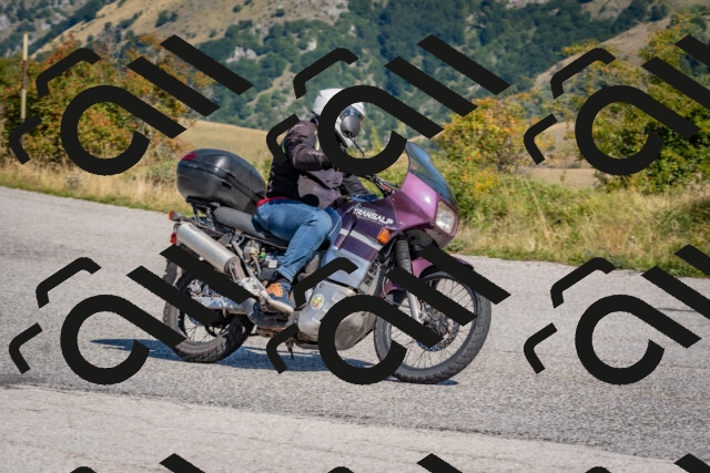 202509061111-DSC_8539_c4_