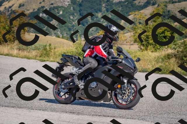 202509061114-DSC_8547_c4_