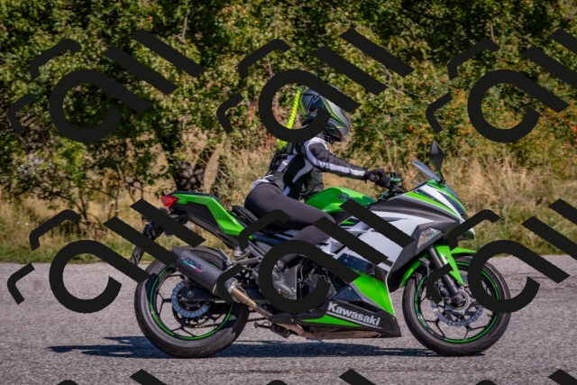 202509061114-DSC_8550_c4_