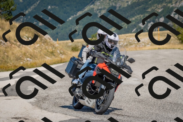 202509061115-DSC_8552_c4_