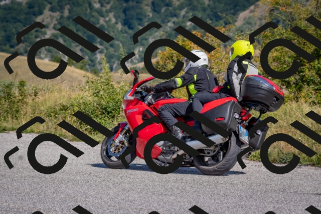 202509061120-DSC_8591_c4_