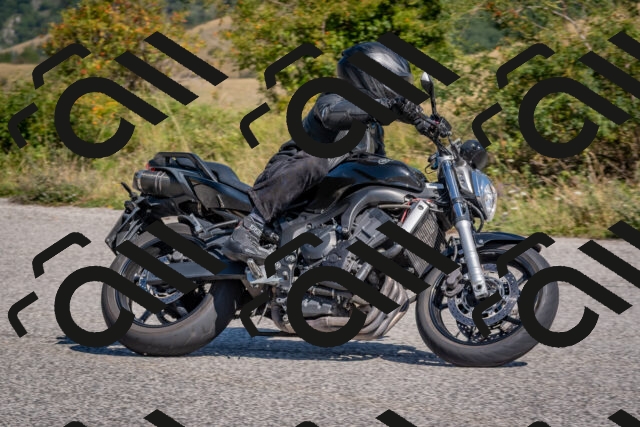 202509061123-DSC_8597_c4_