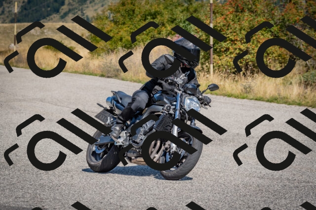 202509061123-DSC_8598_c4_