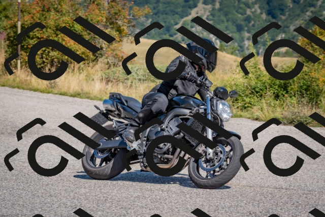 202509061123-DSC_8599_c4_