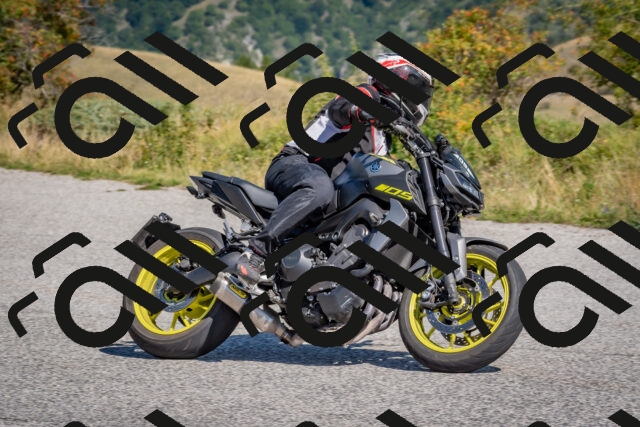 202509061123-DSC_8600_c4_