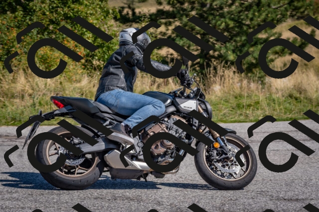 202509061123-DSC_8604_c4_