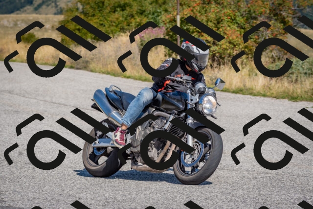 202509061123-DSC_8606_c4_