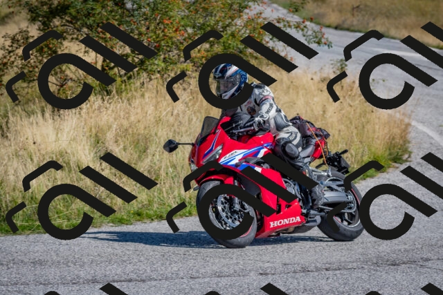 202509061123-DSC_8609_c4_