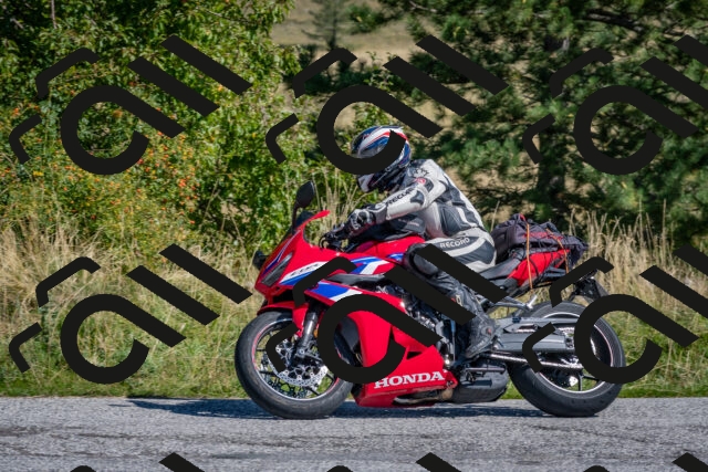 202509061123-DSC_8610_c4_