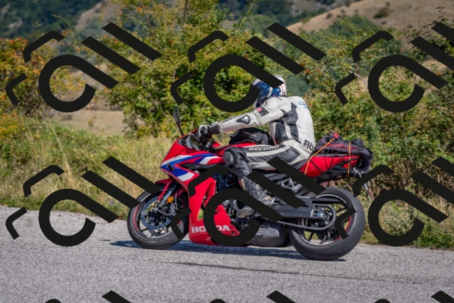 202509061123-DSC_8612_c4_