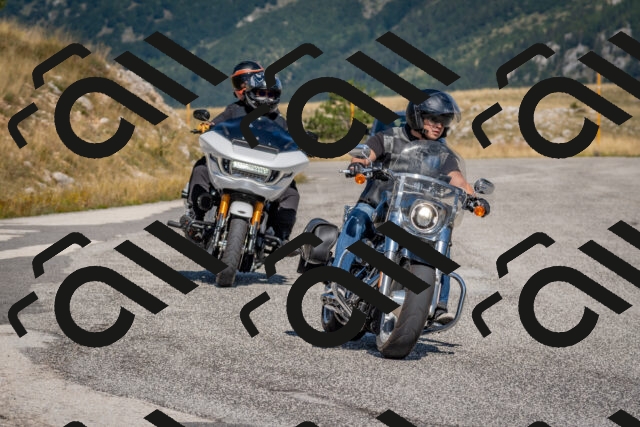 202509061126-DSC_8634_c4_