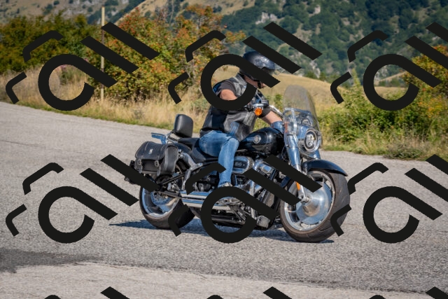 202509061126-DSC_8636_c4_