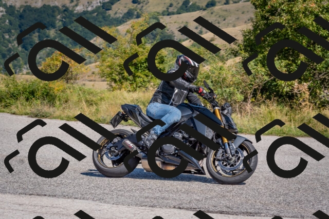 202509061129-DSC_8644_c4_