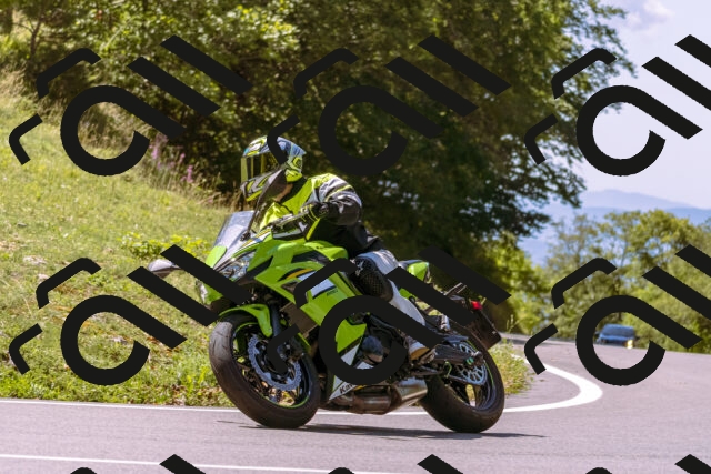 202509061200-_DSC8674_d1_