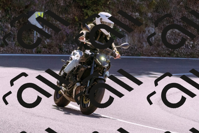 202509061202-_DSC8677_d1_