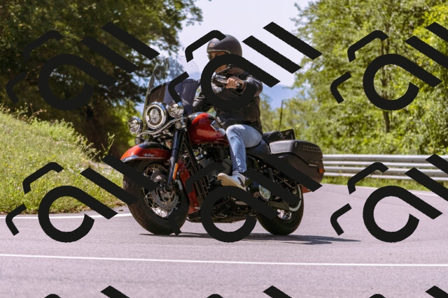 202509061220-_DSC8731_d1_