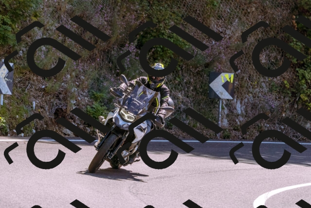 202509061224-_DSC8734_d1_