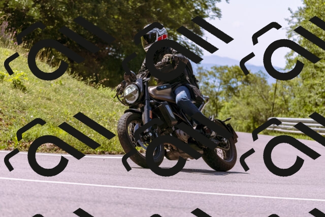 202509061229-_DSC8737_d1_