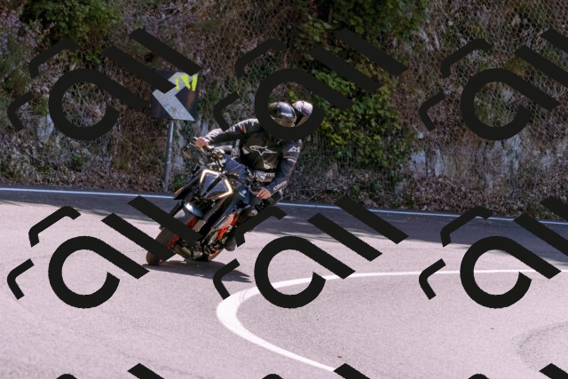 202509061231-_DSC8743_d1_