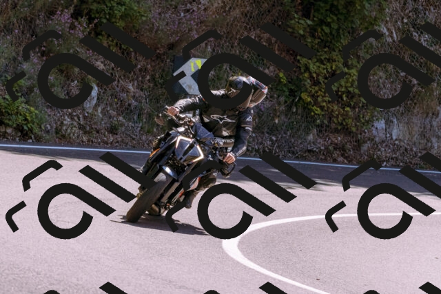 202509061231-_DSC8744_d1_