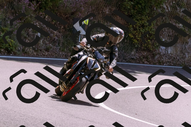 202509061231-_DSC8745_d1_