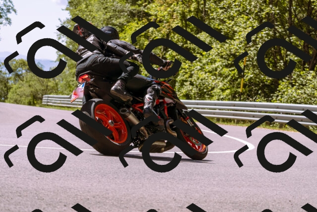 202509061231-_DSC8747_d1_