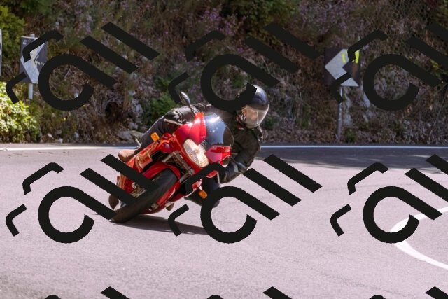 202509061234-_DSC8749_d1_