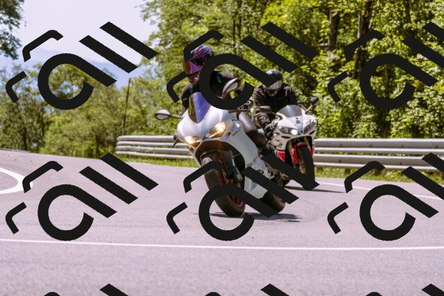 202509061236-_DSC8755_d1_