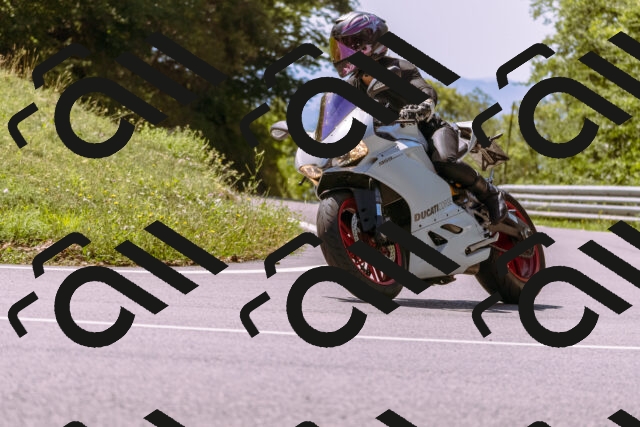 202509061236-_DSC8756_d1_