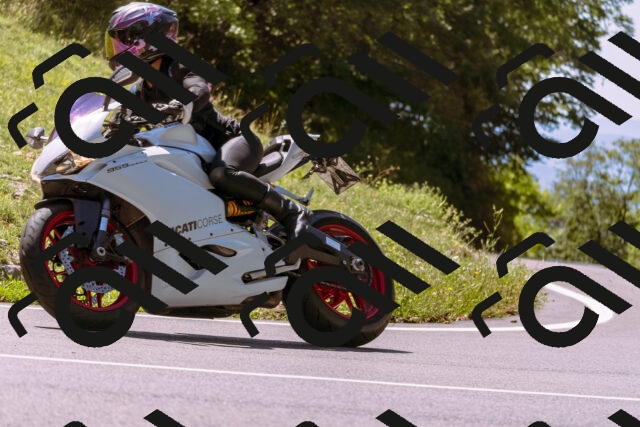 202509061236-_DSC8757_d1_