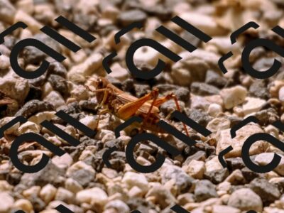 202509061236-_DSC8762_d1_