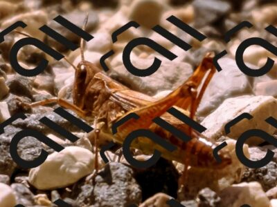 202509061237-_DSC8766_d1_