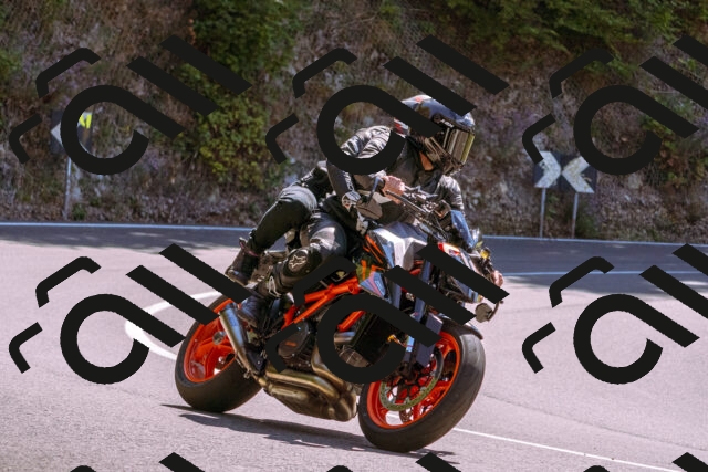 202509061238-_DSC8767_d1_