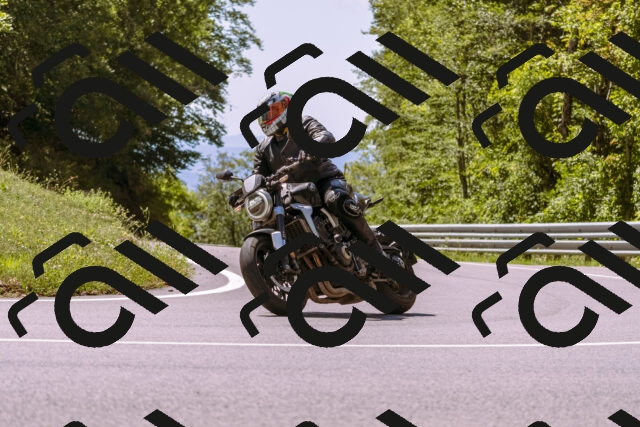 202509061238-_DSC8769_d1_